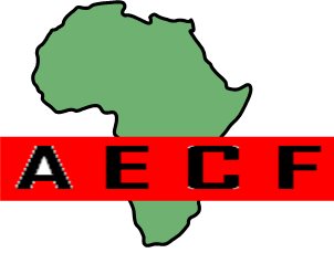 AECF Consulting